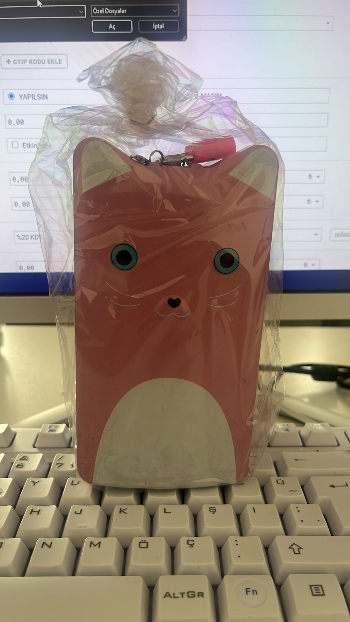 KEDİ DESENLİ KİLİTLİ KUMBARA