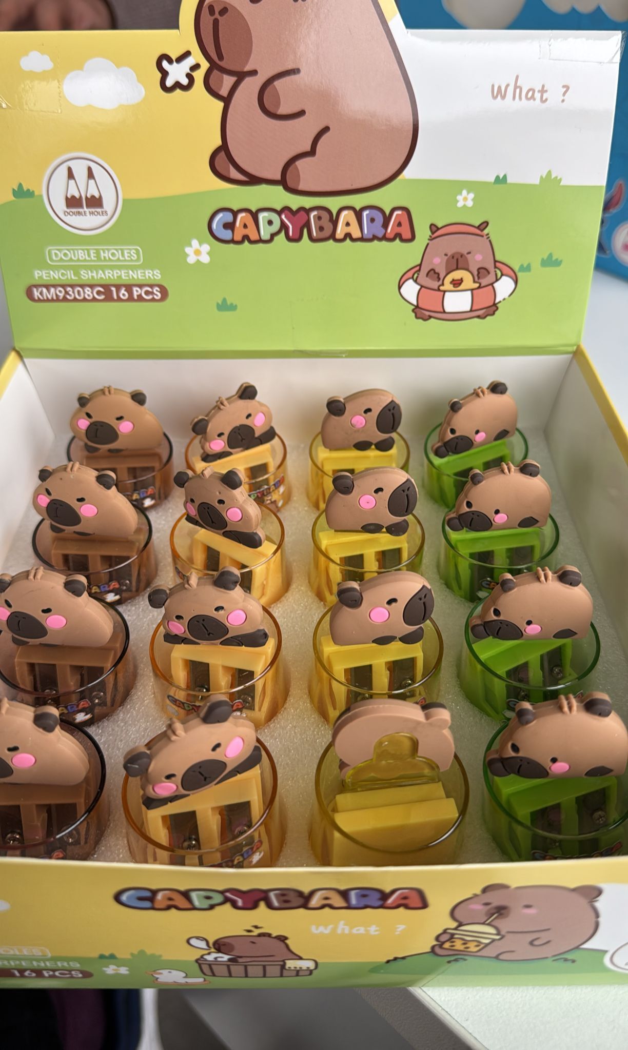 CAPİBARA ÇİFT HAZNELİ KALEMTRAŞ