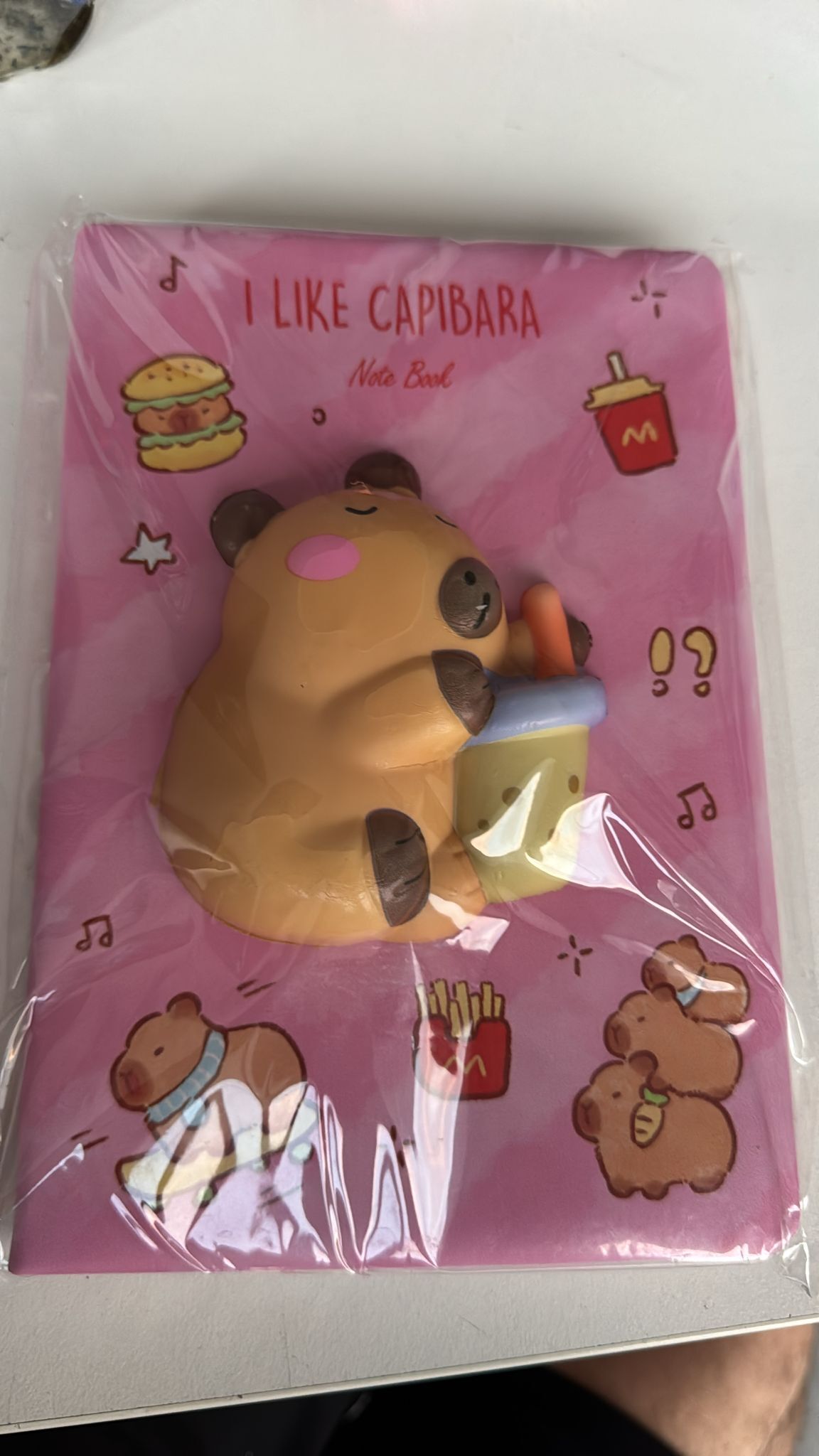 CAPİBARA SUKUŞİ DEFTER