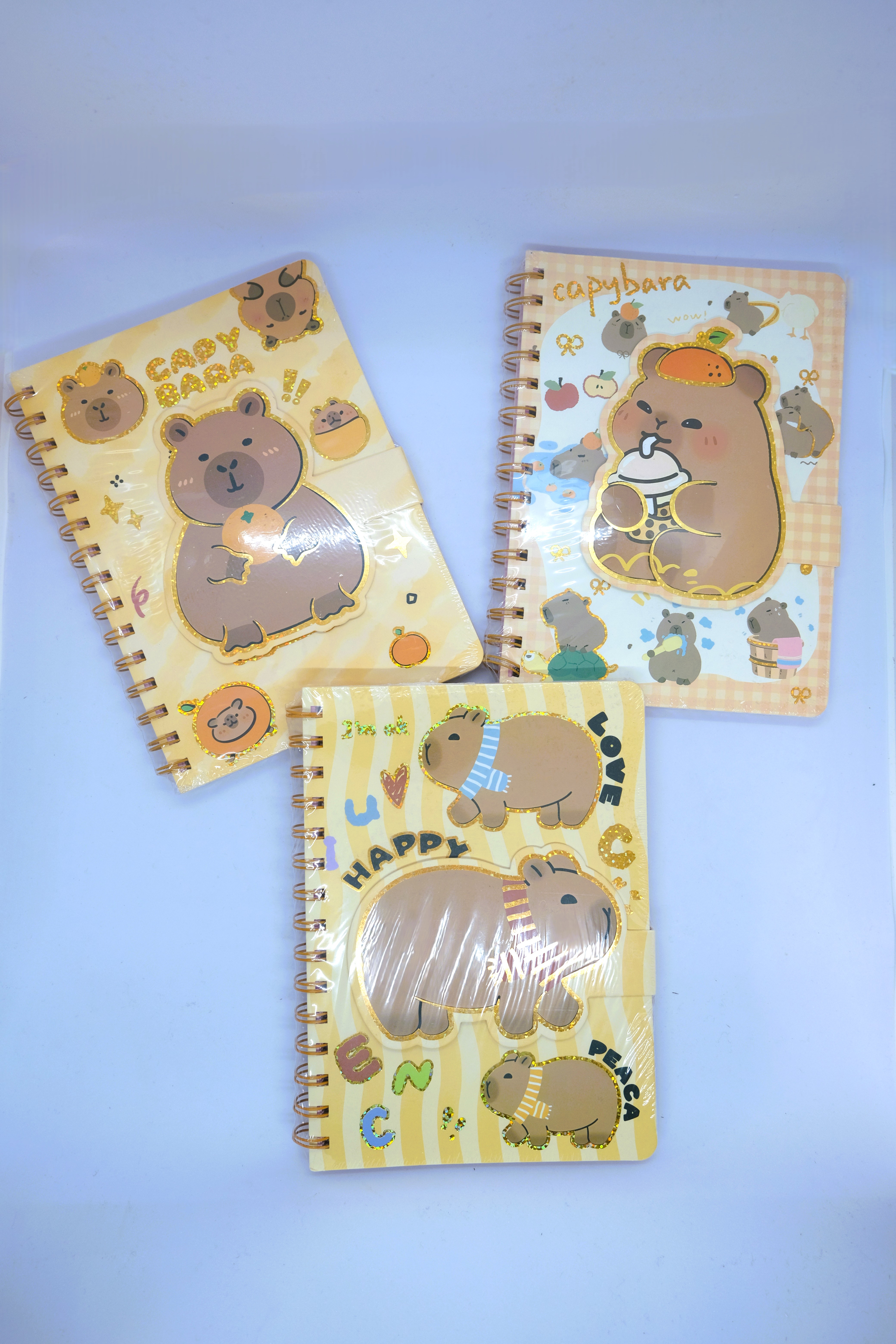 CAPİBARA SPİRALLİ A5 DEFTER