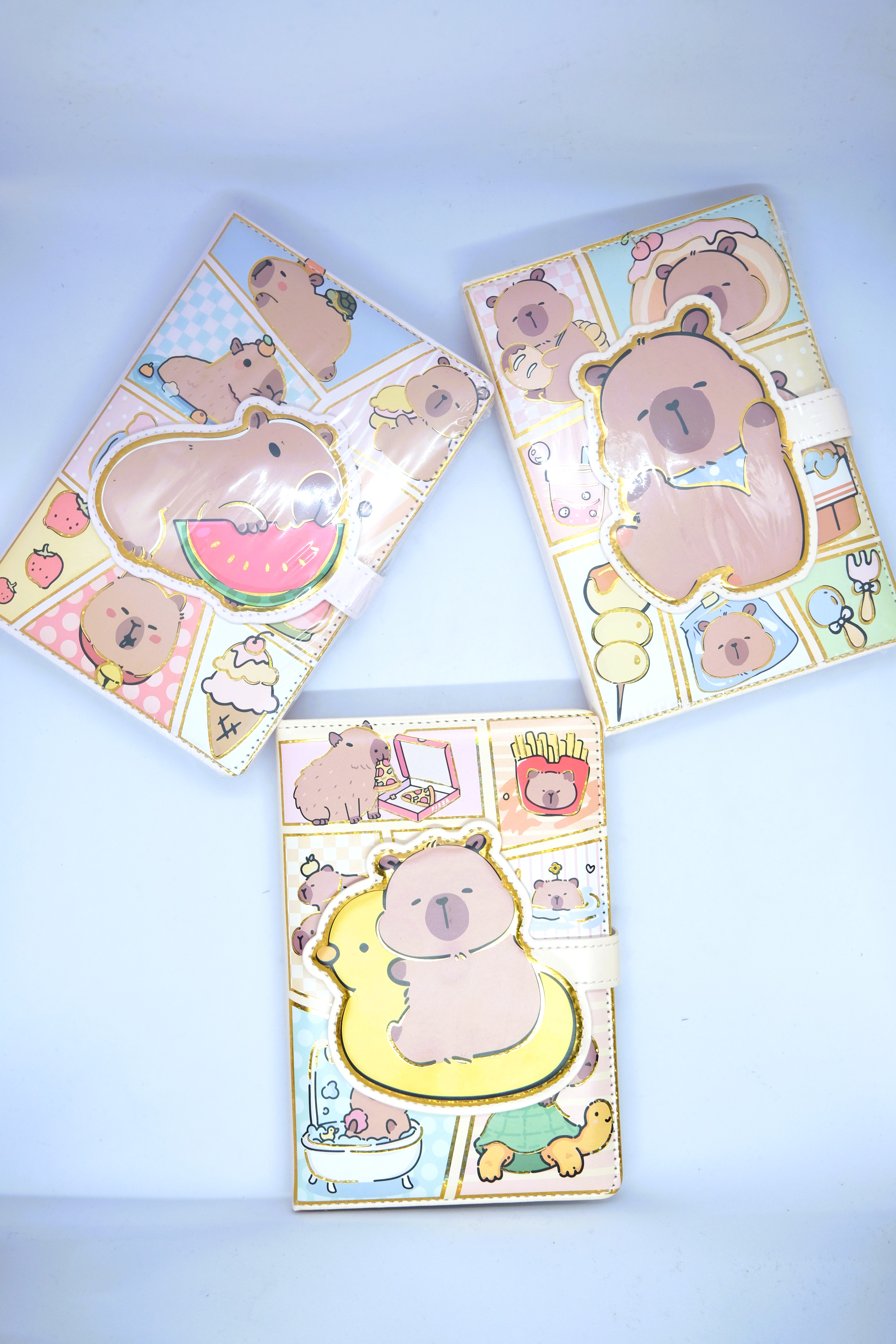 CAPİBARA SİLİKON KABARMA DEFTER